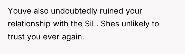 Youve also undoubtedly ruined your relationship with the SiL. Shes...