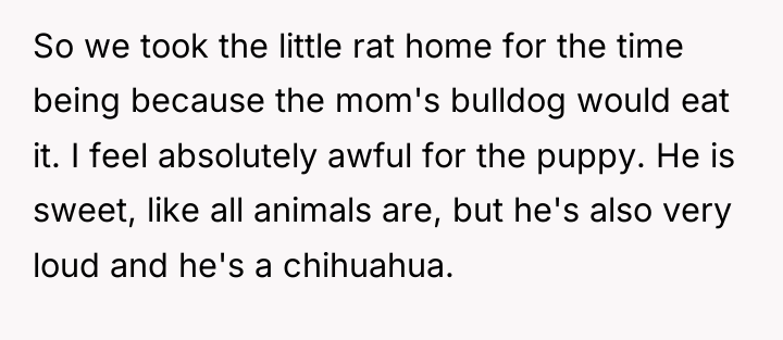 So we took the little rat home for the time...