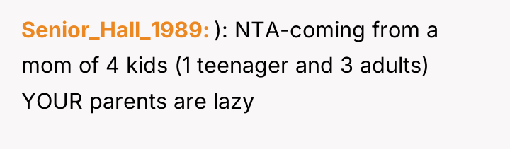Senior_Hall_1989 ): NTA-coming from a mom of 4 kids (1...