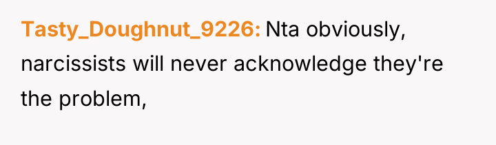 Tasty_Doughnut_9226 Nta obviously, narcissists will never acknowledge they're the problem,