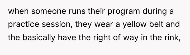 when someone runs their program during a practice session, they...