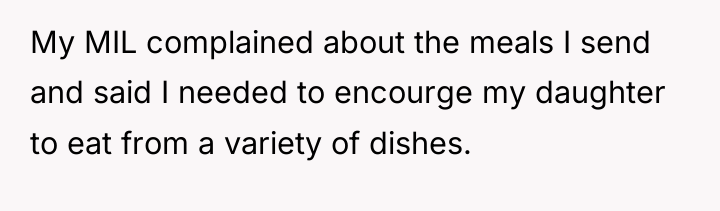 My MIL complained about the meals I send and said...