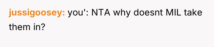 jussigoosey you': NTA why doesnt MIL take them in?