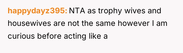 happydayz395 NTA as trophy wives and housewives are not the...