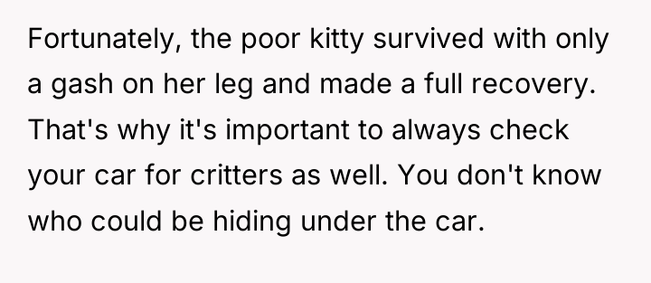 Fortunately, the poor kitty survived with only a gash on...