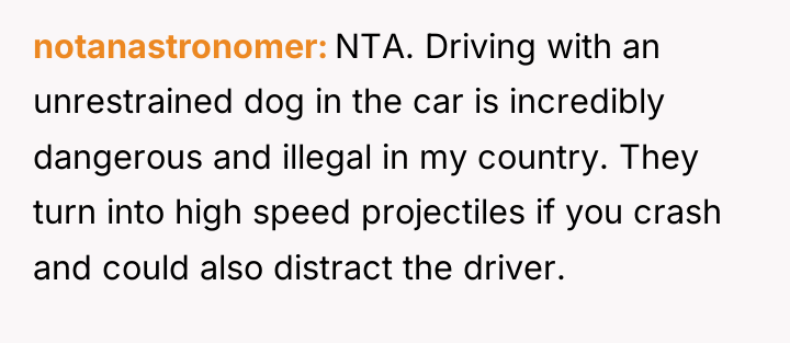 notanastronomer NTA. Driving with an unrestrained dog in the car...