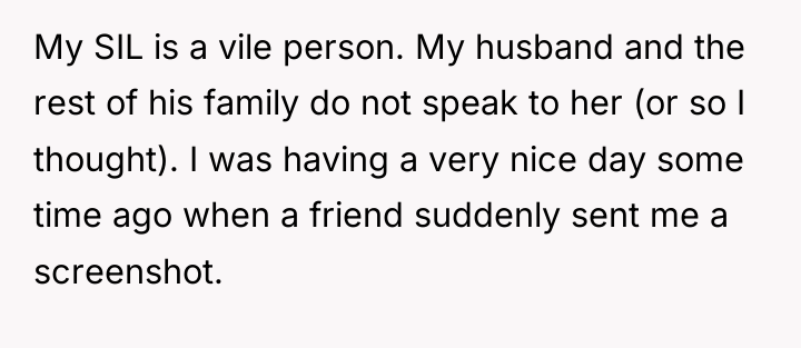 My SIL is a vile person. My husband and the...