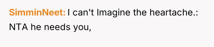 SimminNeet I can't Imagine the heartache.: NTA he needs you,