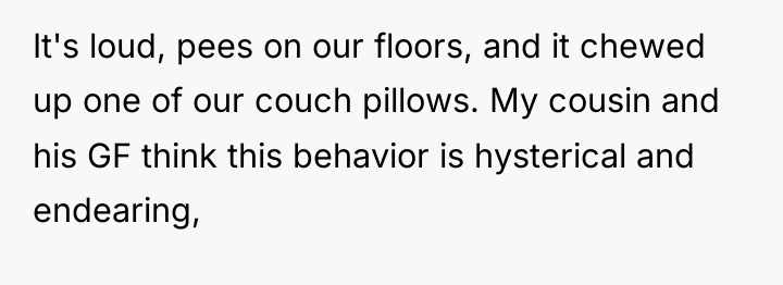 It's loud, pees on our floors, and it chewed up...