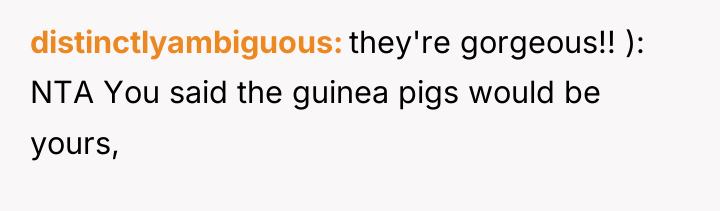 distinctlyambiguous they're gorgeous!! ): NTA You said the guinea pigs...