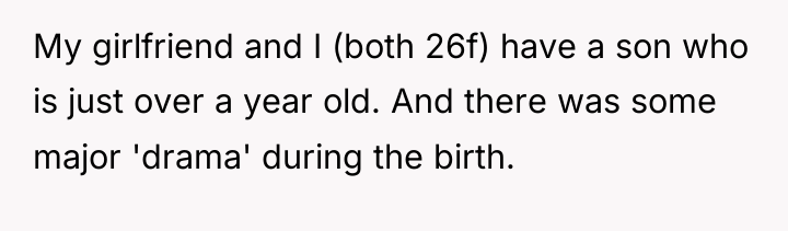 My girlfriend and I (both 26f) have a son who...