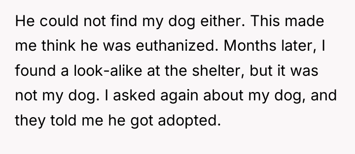 He could not find my dog either. This made me...