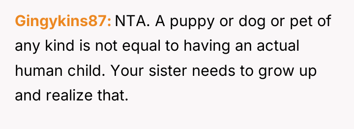 Gingykins87 NTA. A puppy or dog or pet of any...