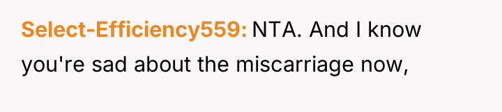 Select-Efficiency559 NTA. And I know you're sad about the miscarriage...