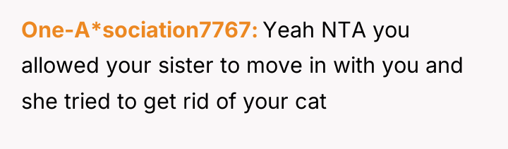 One-A*sociation7767 Yeah NTA you allowed your sister to move in...
