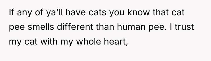 If any of ya'll have cats you know that cat...