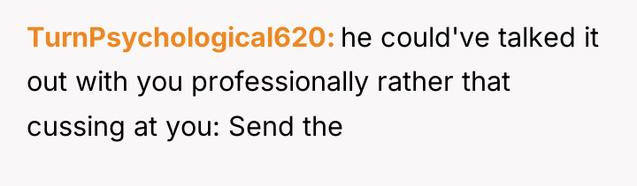 TurnPsychological620 he could've talked it out with you professionally rather...