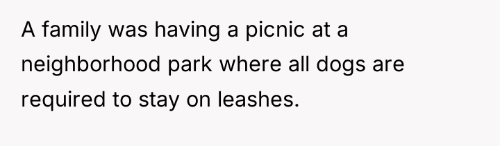 A family was having a picnic at a neighborhood park...