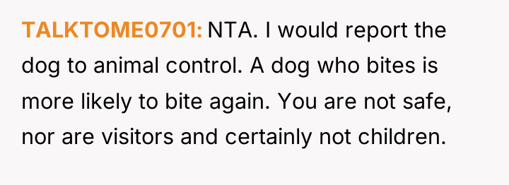 TALKTOME0701 NTA. I would report the dog to animal control....