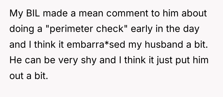 My BIL made a mean comment to him about doing...