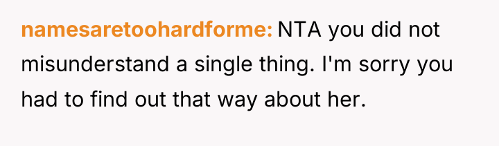 namesaretoohardforme NTA you did not misunderstand a single thing. I'm...