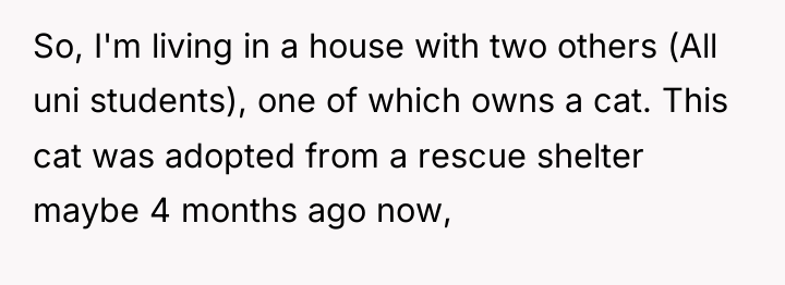So, I'm living in a house with two others (All...