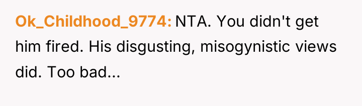 Ok_Childhood_9774 NTA. You didn't get him fired. His disgusting, misogynistic...