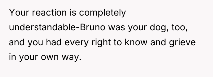 Your reaction is completely understandable-Bruno was your dog, too, and...