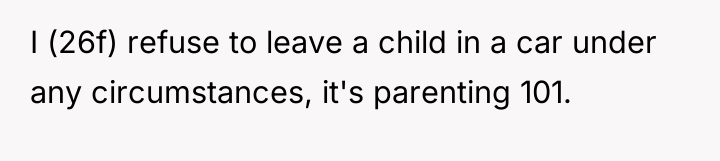 I (26f) refuse to leave a child in a car...
