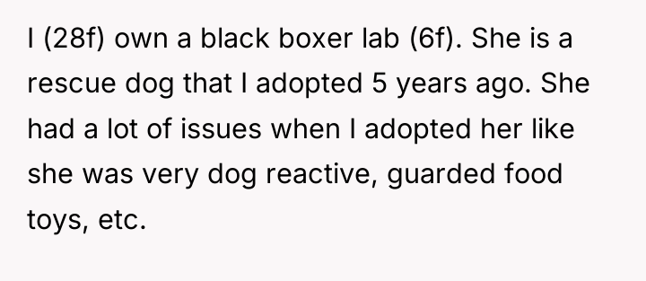 I (28f) own a black boxer lab (6f). She is...
