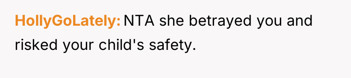 HollyGoLately NTA she betrayed you and risked your child's safety.