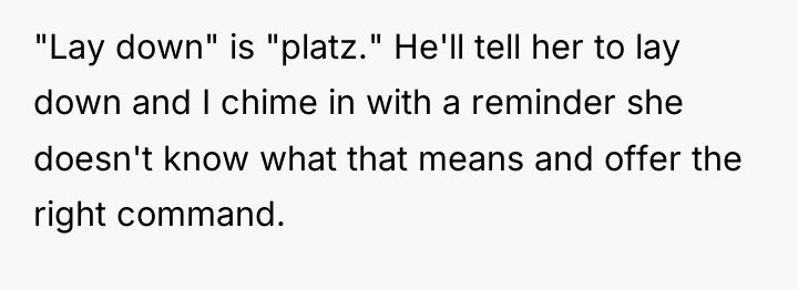 "Lay down" is "platz." He'll tell her to lay down...