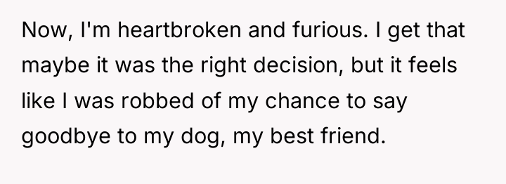 Now, I'm heartbroken and furious. I get that maybe it...