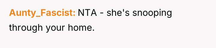 Aunty_Fascist NTA - she's snooping through your home.