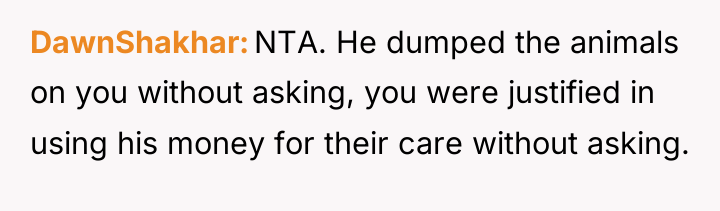 DawnShakhar NTA. He dumped the animals on you without asking,...