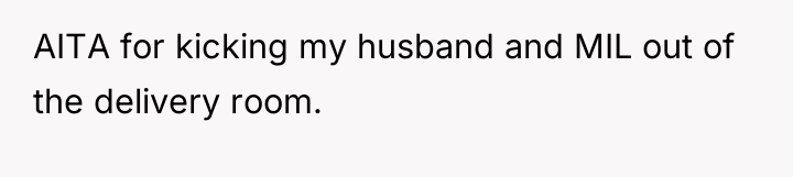 AITA for kicking my husband and MIL out of the...
