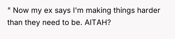 " Now my ex says I'm making things harder than...