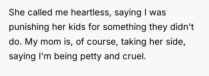 She called me heartless, saying I was punishing her kids...