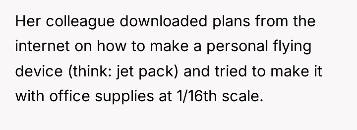 Her colleague downloaded plans from the internet on how to...
