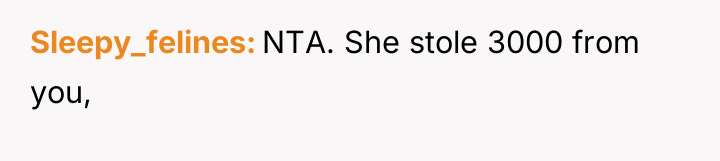 Sleepy_felines NTA. She stole 3000 from you,