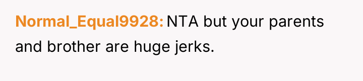 Normal_Equal9928 NTA but your parents and brother are huge jerks.