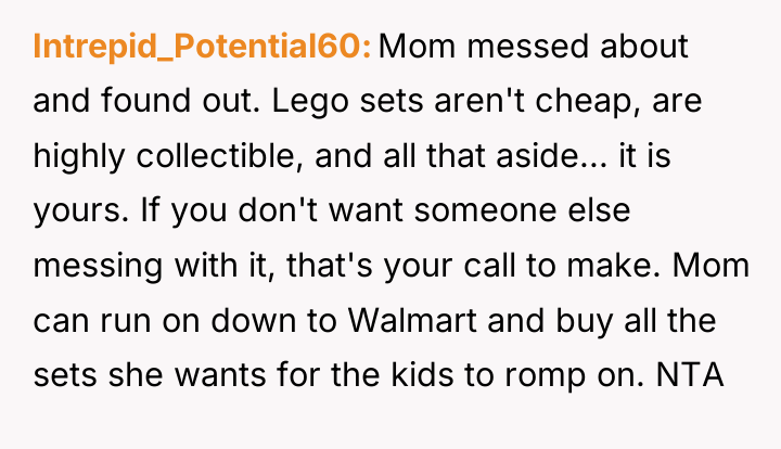 Intrepid_Potential60 Mom messed about and found out. Lego sets aren't...