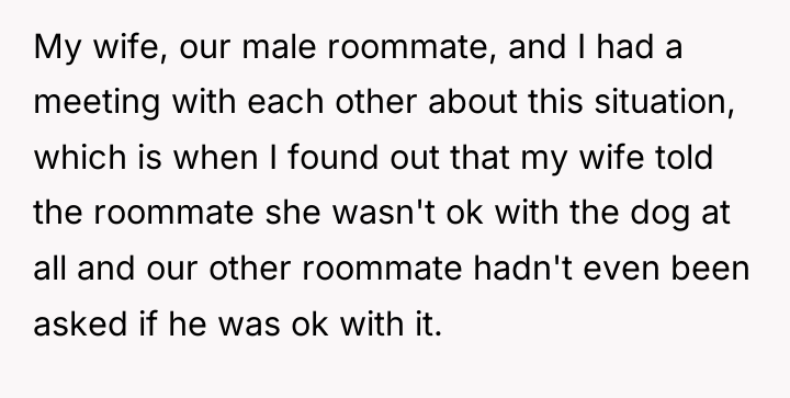 My wife, our male roommate, and I had a meeting...