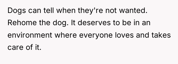 Dogs can tell when they're not wanted. Rehome the dog....