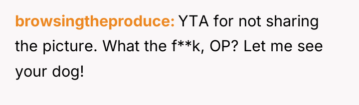 browsingtheproduce YTA for not sharing the picture. What the f**k,...