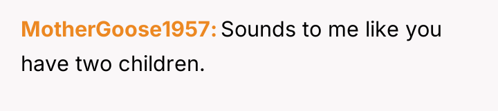 MotherGoose1957 Sounds to me like you have two children.
