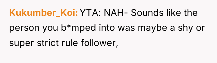 Kukumber_Koi YTA: NAH- Sounds like the person you b*mped into...