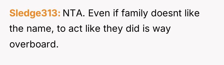 Sledge313 NTA. Even if family doesnt like the name, to...