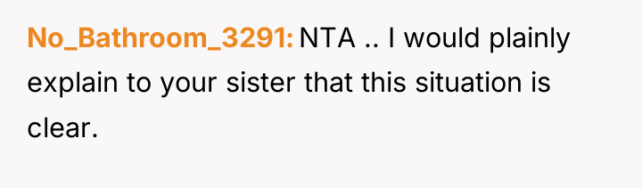 No_Bathroom_3291 NTA .. I would plainly explain to your sister...