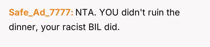 Safe_Ad_7777 NTA. YOU didn't ruin the dinner, your racist BIL...